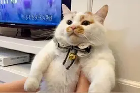 大学奇葩事迹千千万，毕业设计占一半图片