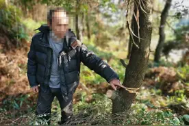 非法毁坏国家重点保护植物，高安三名男子被抓图片