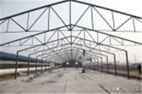 养殖肉鸽的前期准备工作有哪些？图片