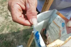 蜈蚣为何只分大小不论死活都是一样价钱？怎样才能捕捉到更多蜈蚣图片