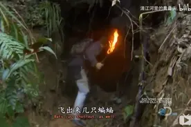 “蝙蝠，很危险！”为什么贝爷吃蝙蝠没事？图片