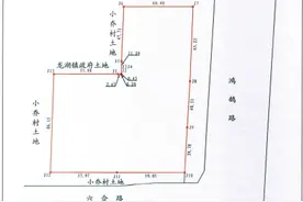 起始价拿下郑州南龙湖1宅地，正商集团再落一子图片