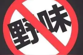 人大新规出台！水蛇娃娃鱼鳄鱼桂花蝉究竟还能不能吃？图片