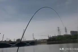 小小的鱼竿竟成为伤害钓鱼人的元凶，请警惕网球肘害你没商量！图片