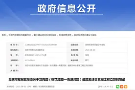 重磅！东部新中心交通大动脉要建，总投资11亿！对标东京、巴黎图片