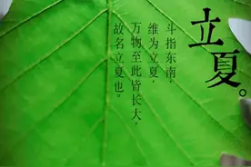 “立夏”节气之蛋蛋图片