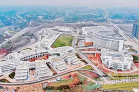 抓项目促投资促发展资阳这么干图片