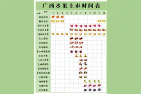 广西各地水果成熟时间，按着季节吃味道更上一层楼图片