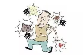 又到这种皮肤病高发季！夏季清凉出行，小心惹“虫”上身图片