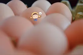 有这样一群鸡，每天开开心心无忧无虑，于是便有了它们图片