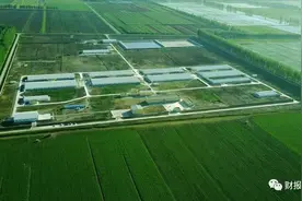 大北农，之成色图片