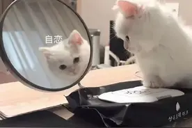 撒娇表情包：撩男朋友表情包图片
