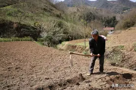 5年后，农村土地走向何处？国务院新令下达，将回收大量撂荒土地图片