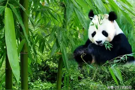 男不入川，女不入藏，老不入广！你知道是为什么吗？图片