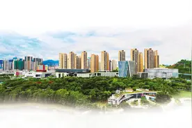 坪山：新文博开启新航程 新样本托起新高地图片