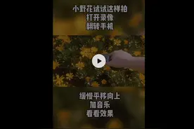美美哒~一招教你拍出歌声里的小黄花图片