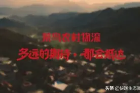 农村物流提速！中通 韵达入股菜鸟旗下溪鸟物流图片