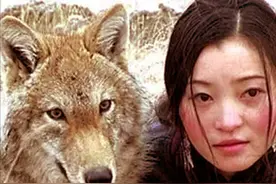 四川姑娘卖房救狼，当她再次和狼重逢时，狼有何反应？图片