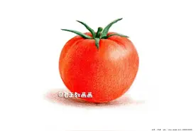 你没看错，这西红柿是画的图片
