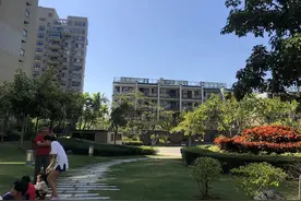 调查丨女老板失联，房子被查封：惊曝三亚南枫禅墅108户购房者被坑内幕图片