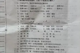六年级语文下册期末考试卷（2021.7），看看都有什么题？图片