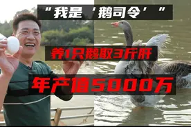 养1只鹅取3斤肝！湖南“鹅司令”养鹅卖鹅有妙招，年产值5000万图片