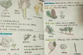 曝光！南京学霸晒出"神仙笔记"！网友感叹：逼真程度堪比印刷！图片