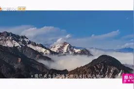 火出圈！这几对明星夫妇来大邑了，浪漫旅行正式启程图片