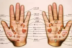几乎失传的手诊，健康状况，就在手上，建议收藏图片