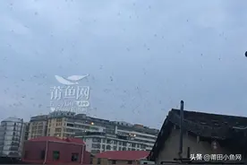 莆田涵江现奇观,天空出现上万只燕子！预示着什么呢？图片