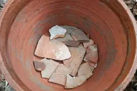 盆底垫了三样东西，提高土壤透气性，这下不怕积水烂根了图片