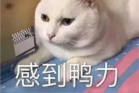 患上冠心病还能运动吗？图片
