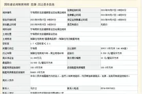 9700元/平！宁波保利6.3亿元斩获宁海跃龙街道原客运总站周边地块图片