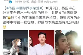 杨丞琳晒“狗界李荣浩”：有一种夫妻，叫爱到深处自然黑图片