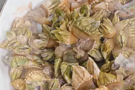 清蒸狗爪螺清甜味美 最适合帮坐月子的孕妇解馋视频封面