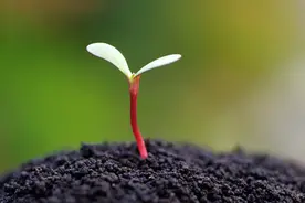 天堂的宝贝，你千万别迷路，如果玩累了，记得回来找妈妈图片