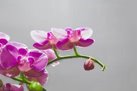 人生充满未知——一念生，一念灭图片