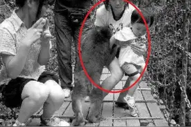 妈妈带2岁儿子去动物园，上一秒抱儿子喂猴，下一秒当场崩溃图片