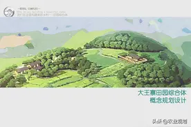 大王寨田园综合体概念性规划设计方案图片