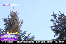 全国“好空气”排行榜出炉，黑龙江省13地市“气质”均入前20名视频封面
