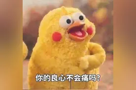 小黄鸡表情包图片