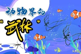 这些隐藏的“武林高手”，终于重出江湖了图片