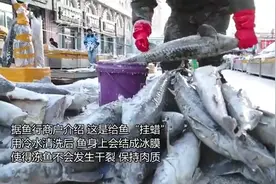 你见过给鱼“洗澡”吗？图片