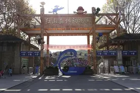 南京十大最适合一家人去的景点 南京亲子游景点推荐图片