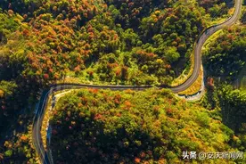 安庆两条公路入选全省“十大最美普通国省干线公路（农村路）”图片