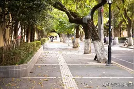 买房经历：同事买了，我也就跟着买了，交完定金后，才发现问题图片