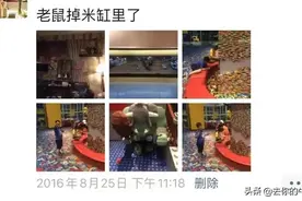 这些年，那些作死的带娃旅游现场图片