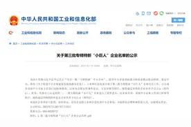 喜讯！灵动科技荣获国家级专精特新“小巨人”企业称号图片