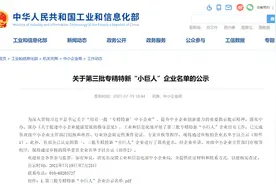 喜讯！灵动科技荣获国家级专精特新“小巨人”企业称号图片