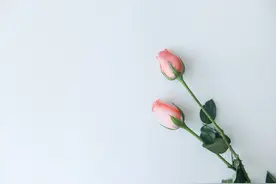 男人难以抗拒的女人，其实是这样的，与美貌和年龄无关图片